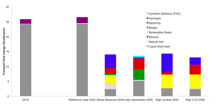 Transport sector energy use by fuel type